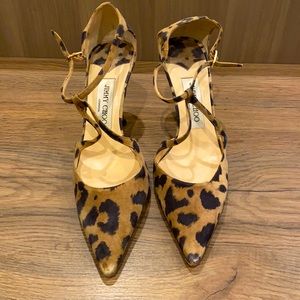 Jimmy chop leopard heals